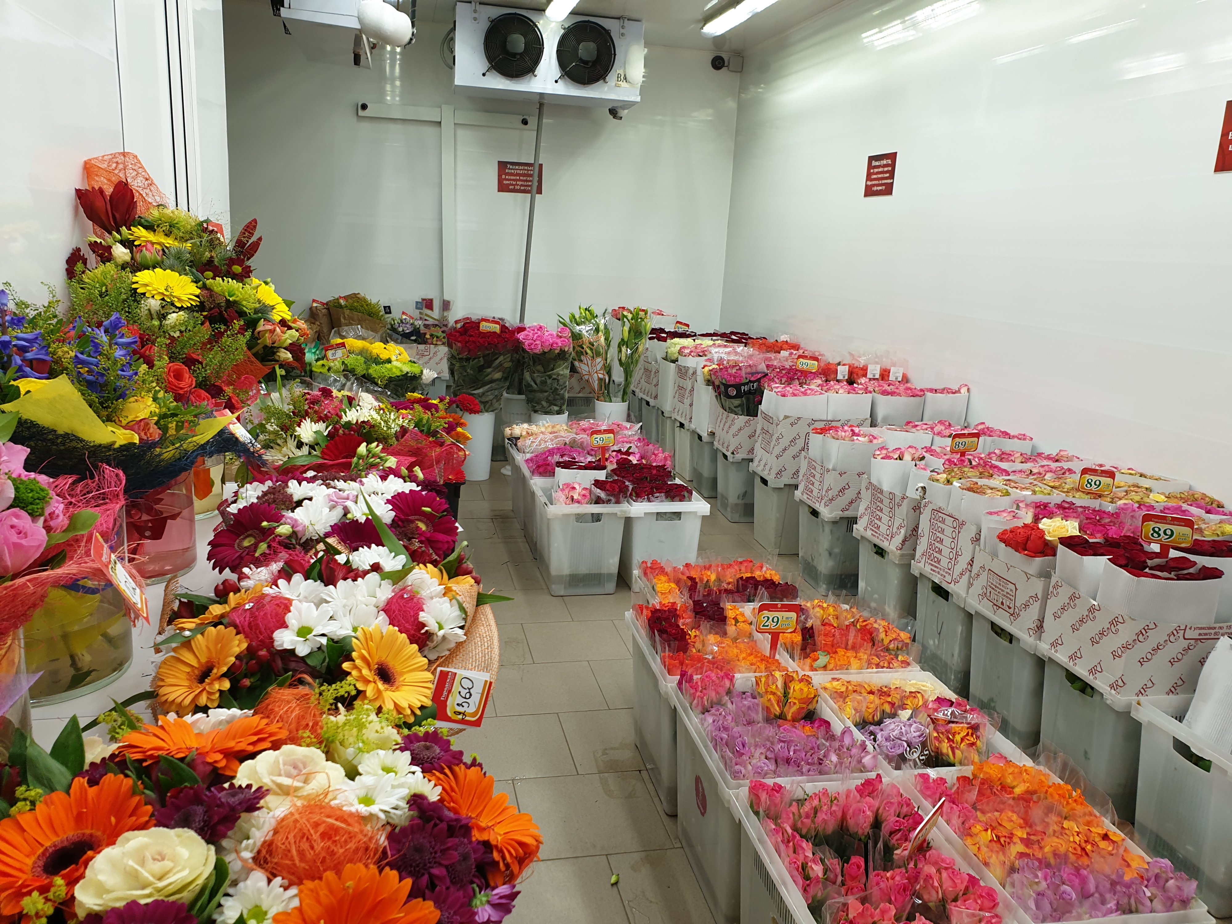 Где Лучше Купить Цветы В Москве