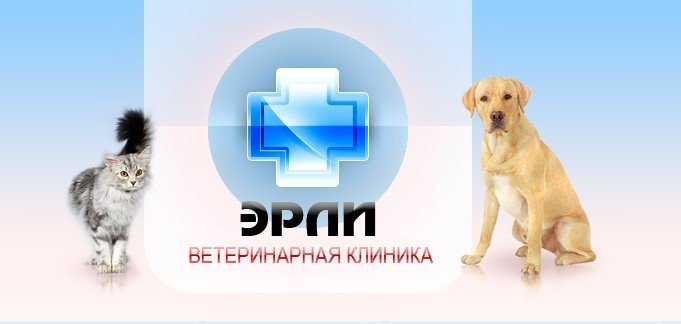 Социальная Ветеринарная Аптека Санкт Петербург Социальная Ветеринарная Аптека Санкт Петербург