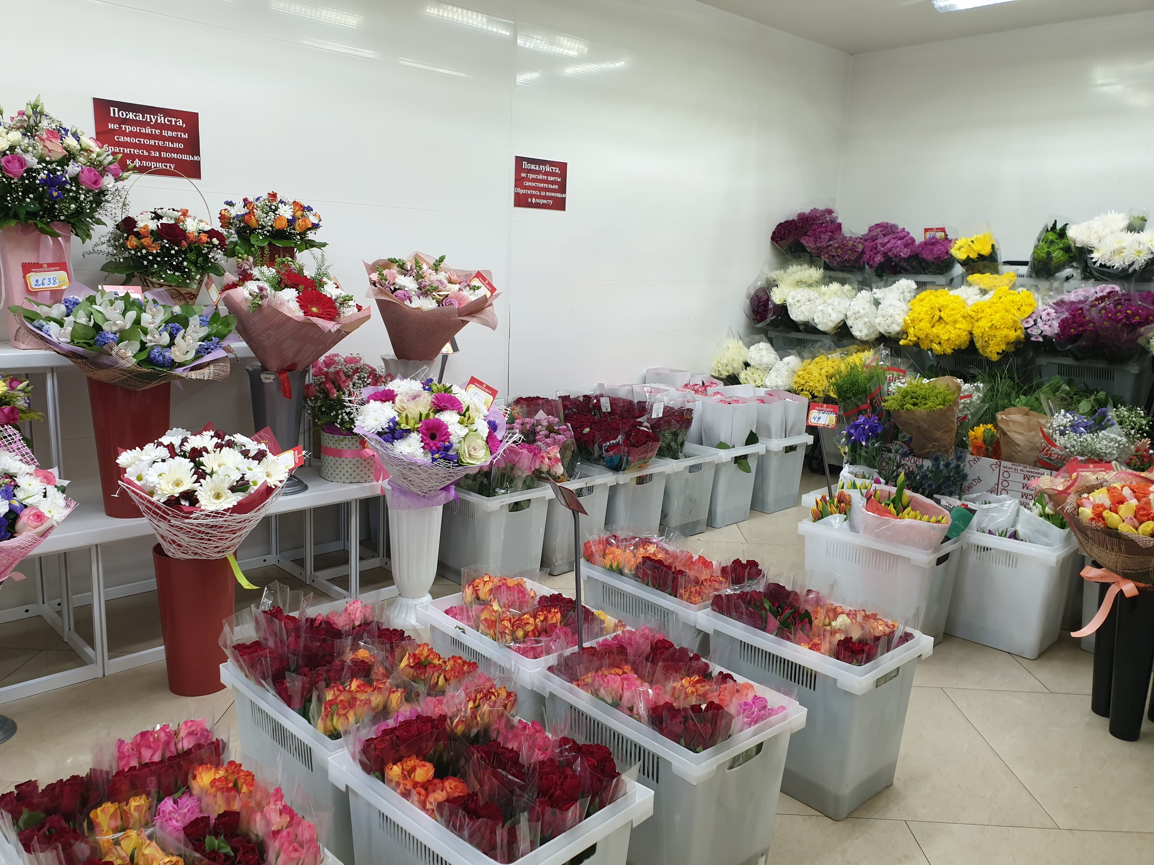 Где Купить Недорогие Цветы В Москве