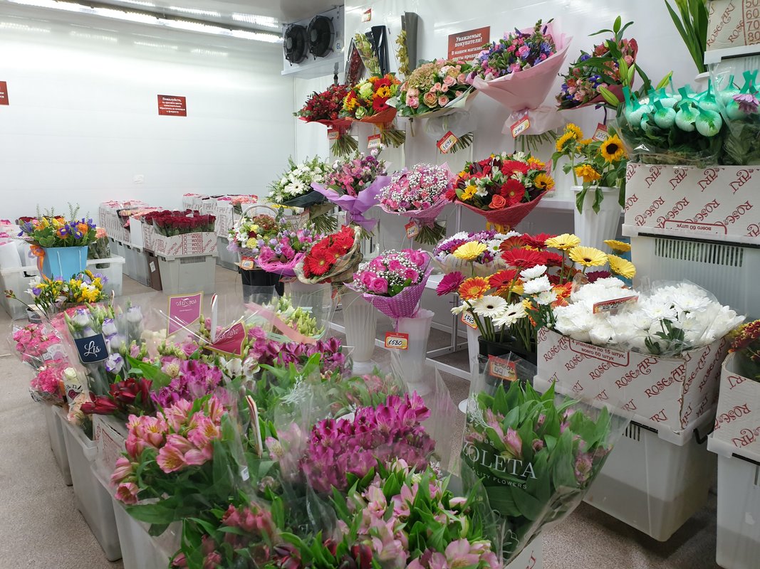 Недорогие Магазины Цветов