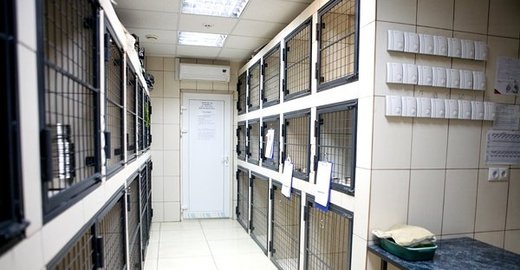 Детская областная больница брянск заведующий лор отделение