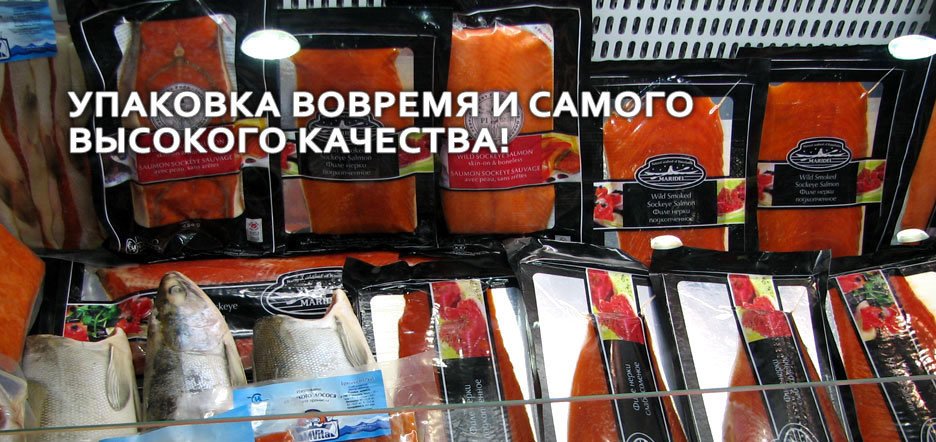 Вело Дв Хабаровск Интернет Магазин Вело Дв Хабаровск Интернет Магазин