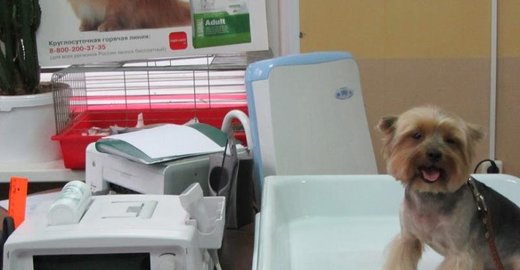 Больницы г москва и московская область