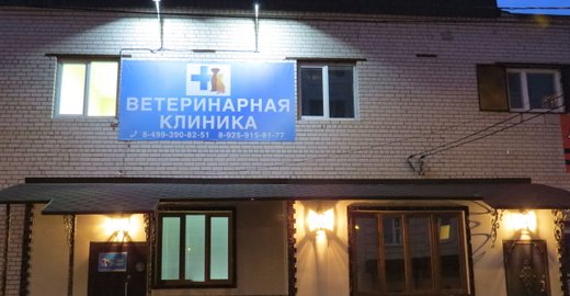 Гбуз стоматологическая поликлиника 31