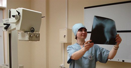 Болезни вишни и их лечение с фотографиями и