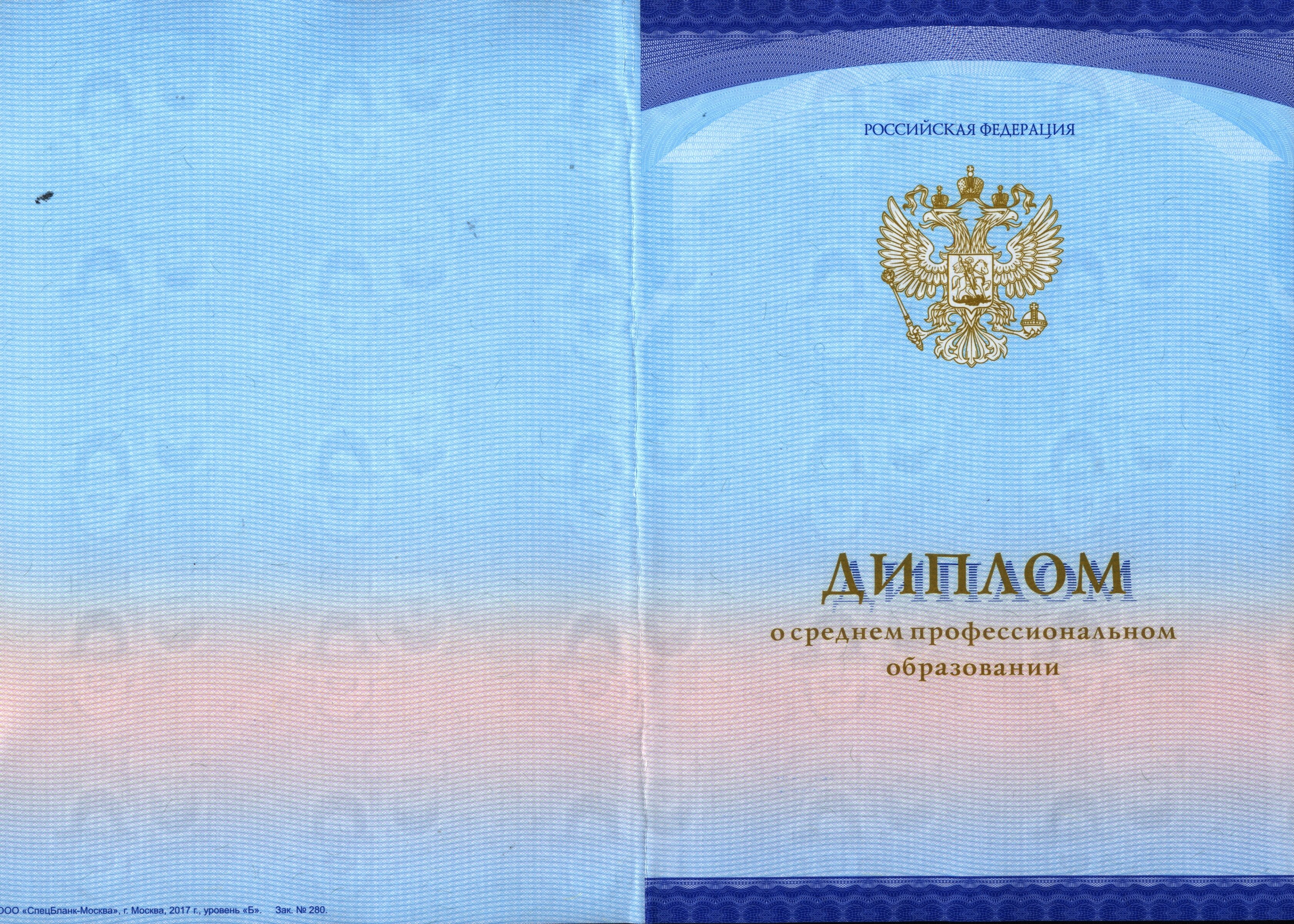 Вероника Геннадьевна Жеренкова