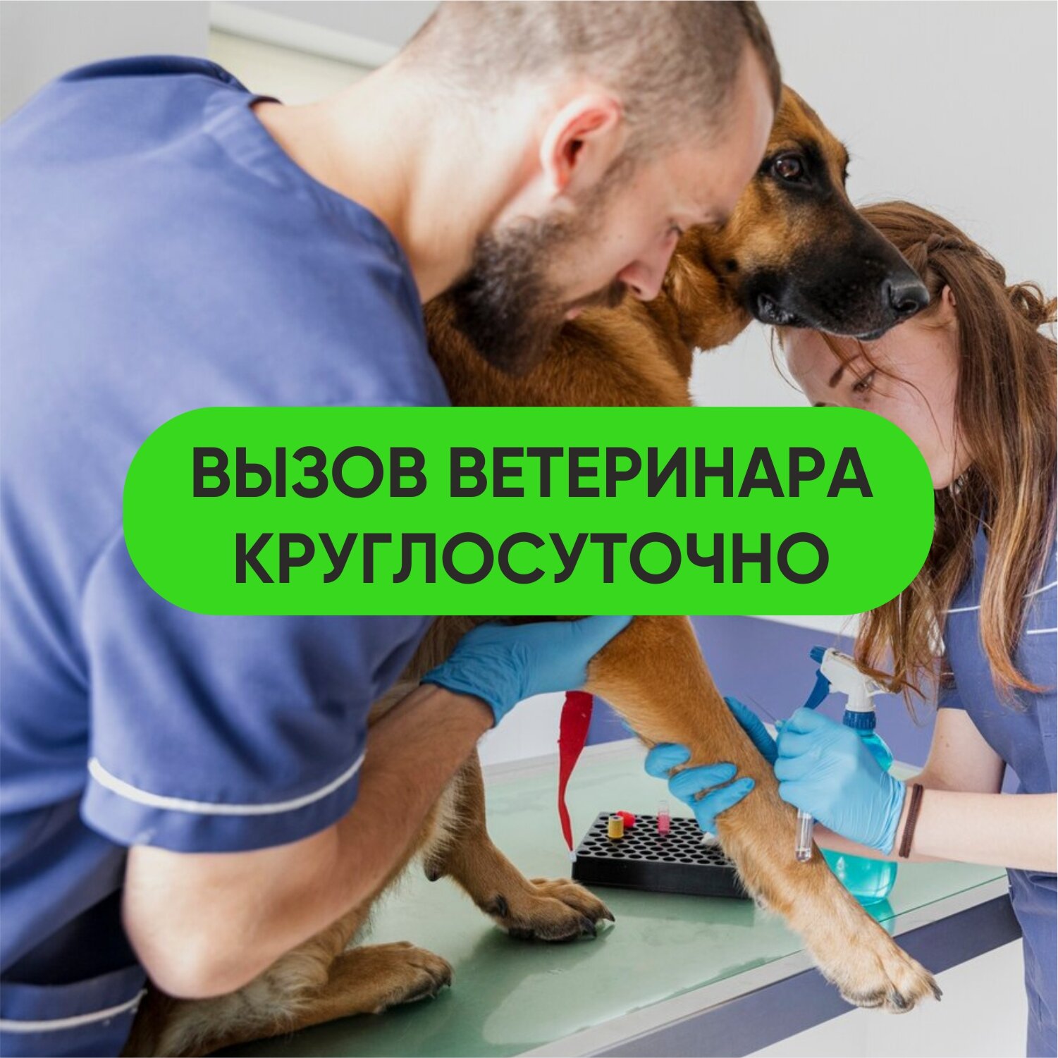 Пантюлин Андрей – ветеринар – Санкт-Петербург – Zoon.ru