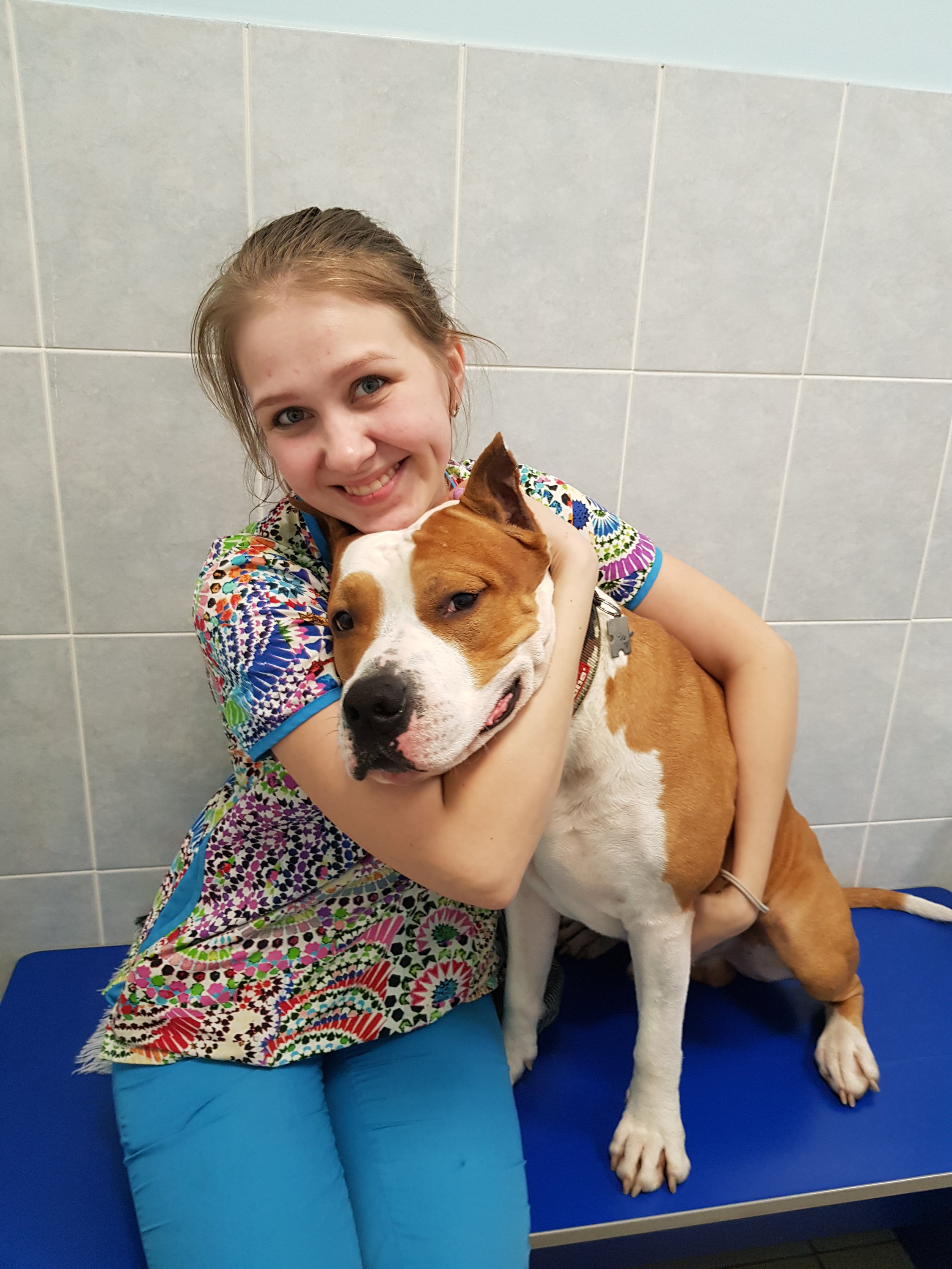 жерновская 46 ветклиника. ветклиника кошки. ветклиника вирион, долгоозерная, 12. невская ветеринарная лечебница обуховской обороны 68. ветеринары питер.