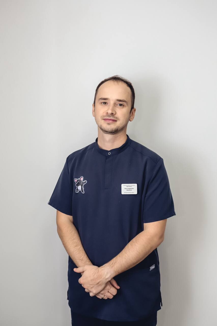 Иван Андреевич Шемяков