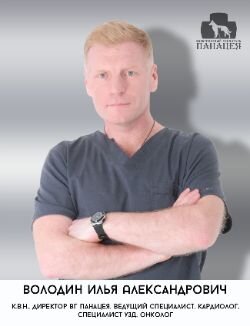 Илья Александрович Володин