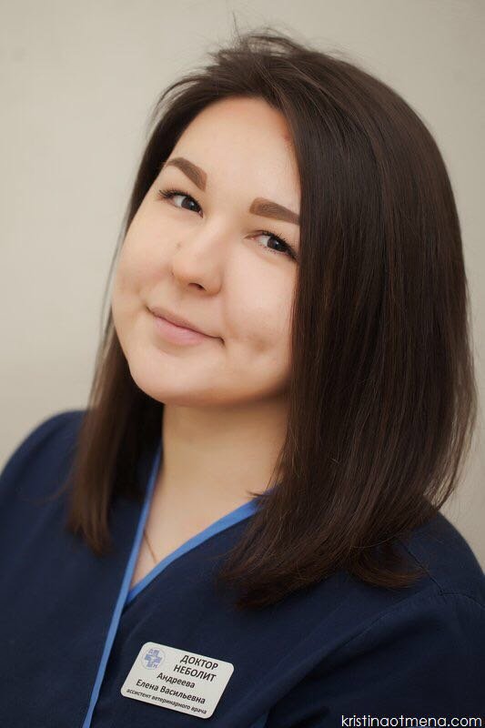 Елена Васильевна Андреева