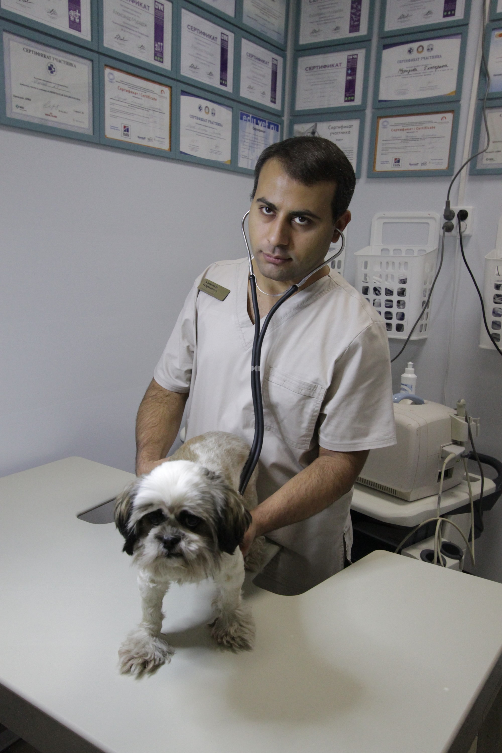 ветеринары питер