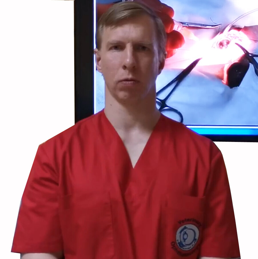 Перепечаев Константин Андреевич – ветеринарный врач-офтальмолог ...