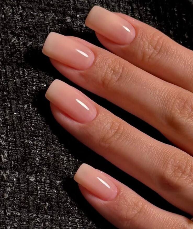 Ева Комиссарова