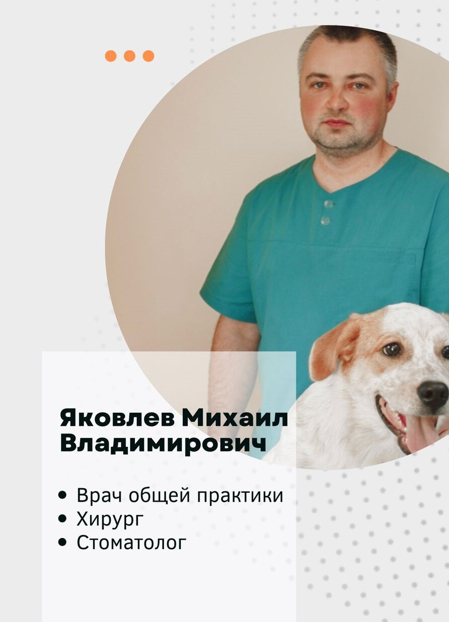 Михаил Владимирович Яковлев