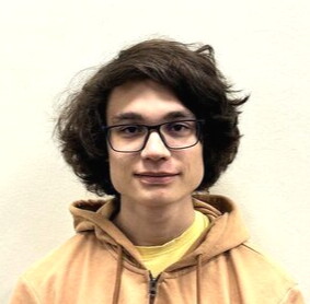 Давид Розин