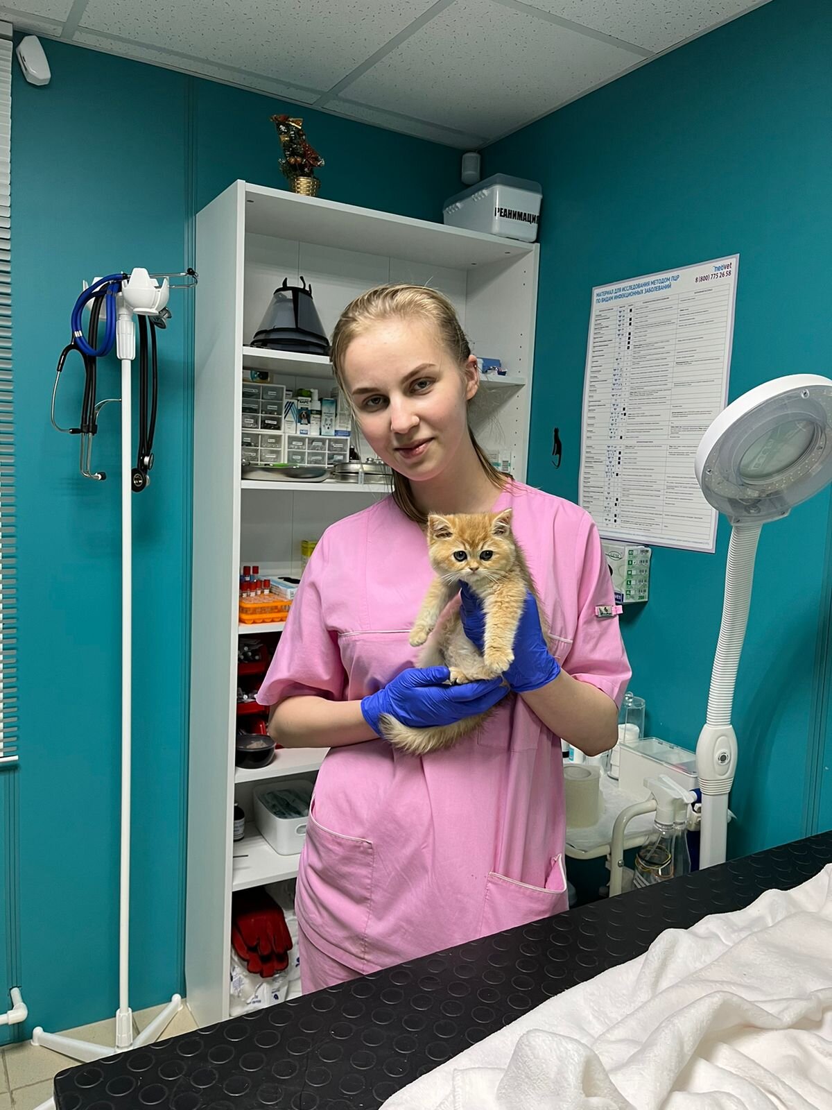 Чем пользуются ветеринары. Волонтеры и животные. Международный день ветеринарного врача. Ветклиника агнии чебаркуль. Ветеринар.