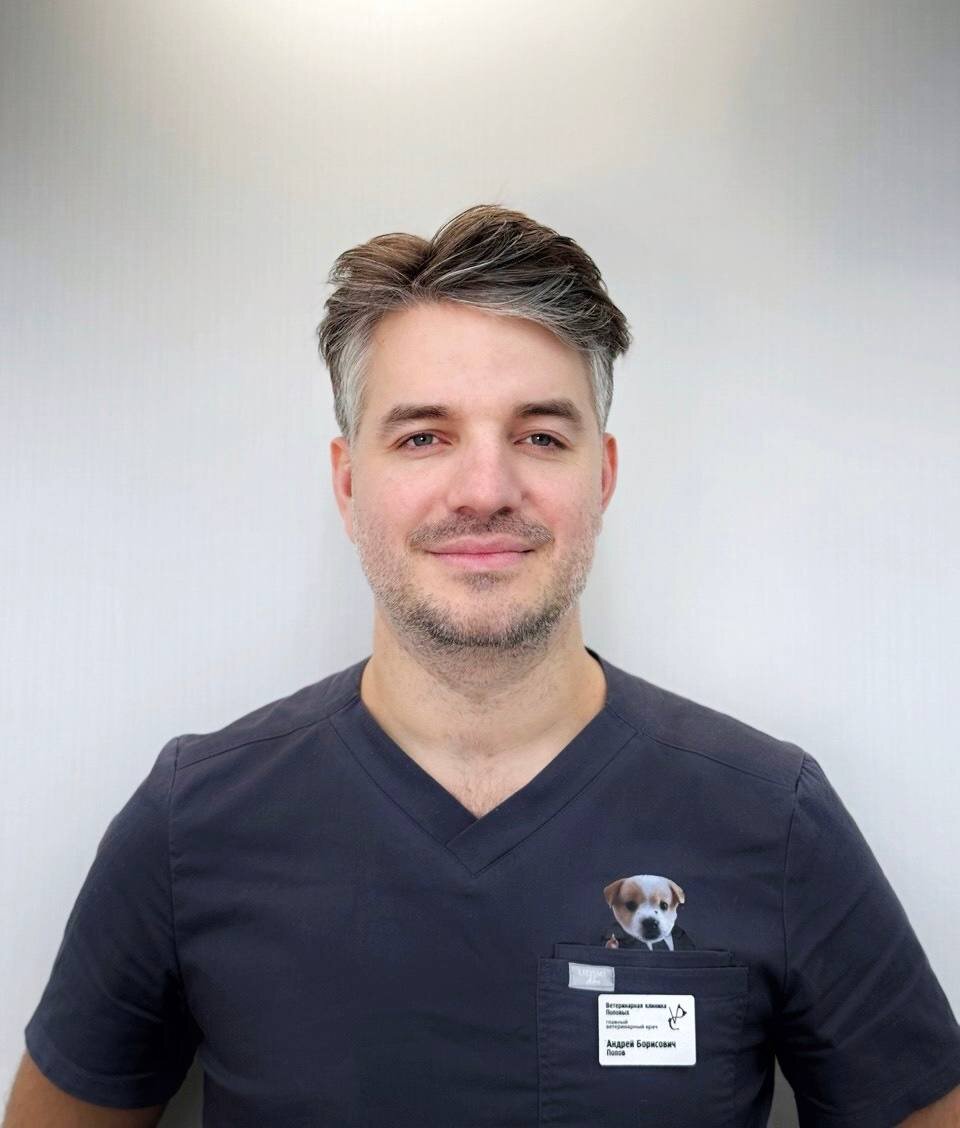 Андрей Борисович Попов