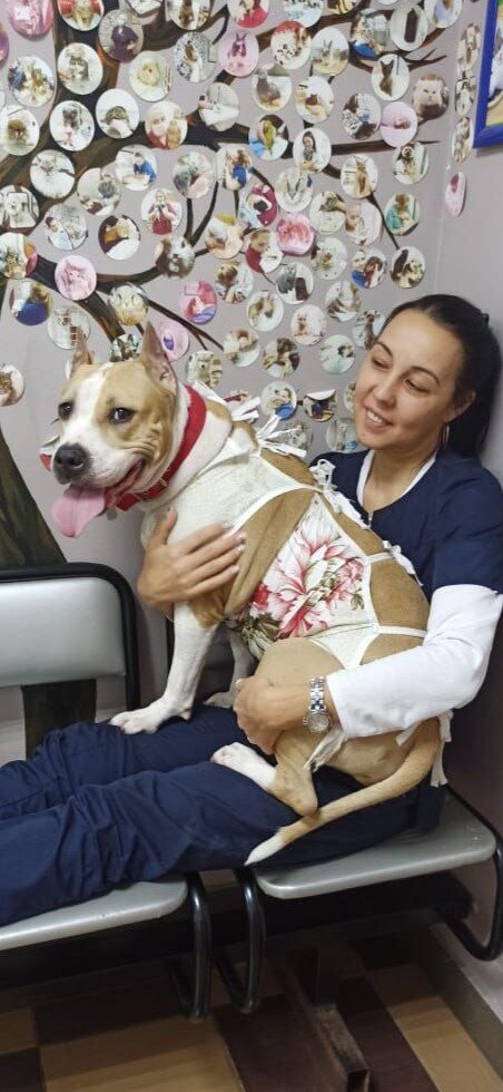 Людмила Михайловна Милютина