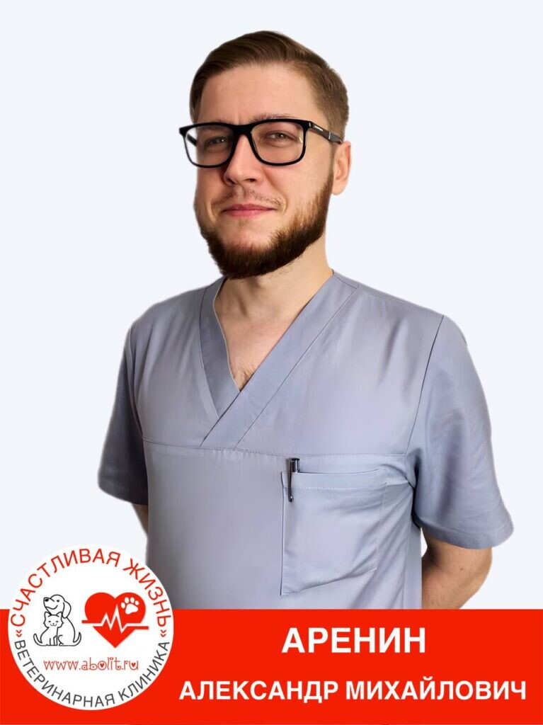 Александр Михайлович Аренин