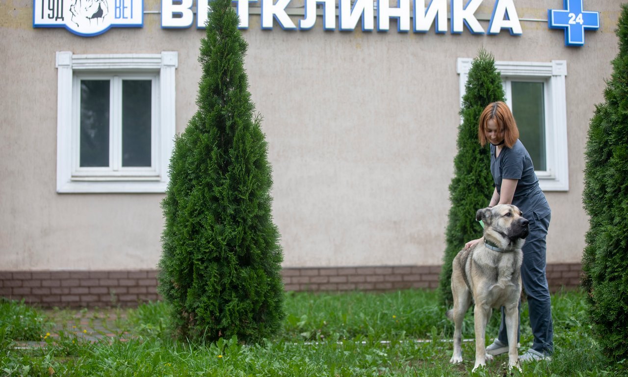 Ветеринарная вао. Ветклиника на ул Московской Балабаново.