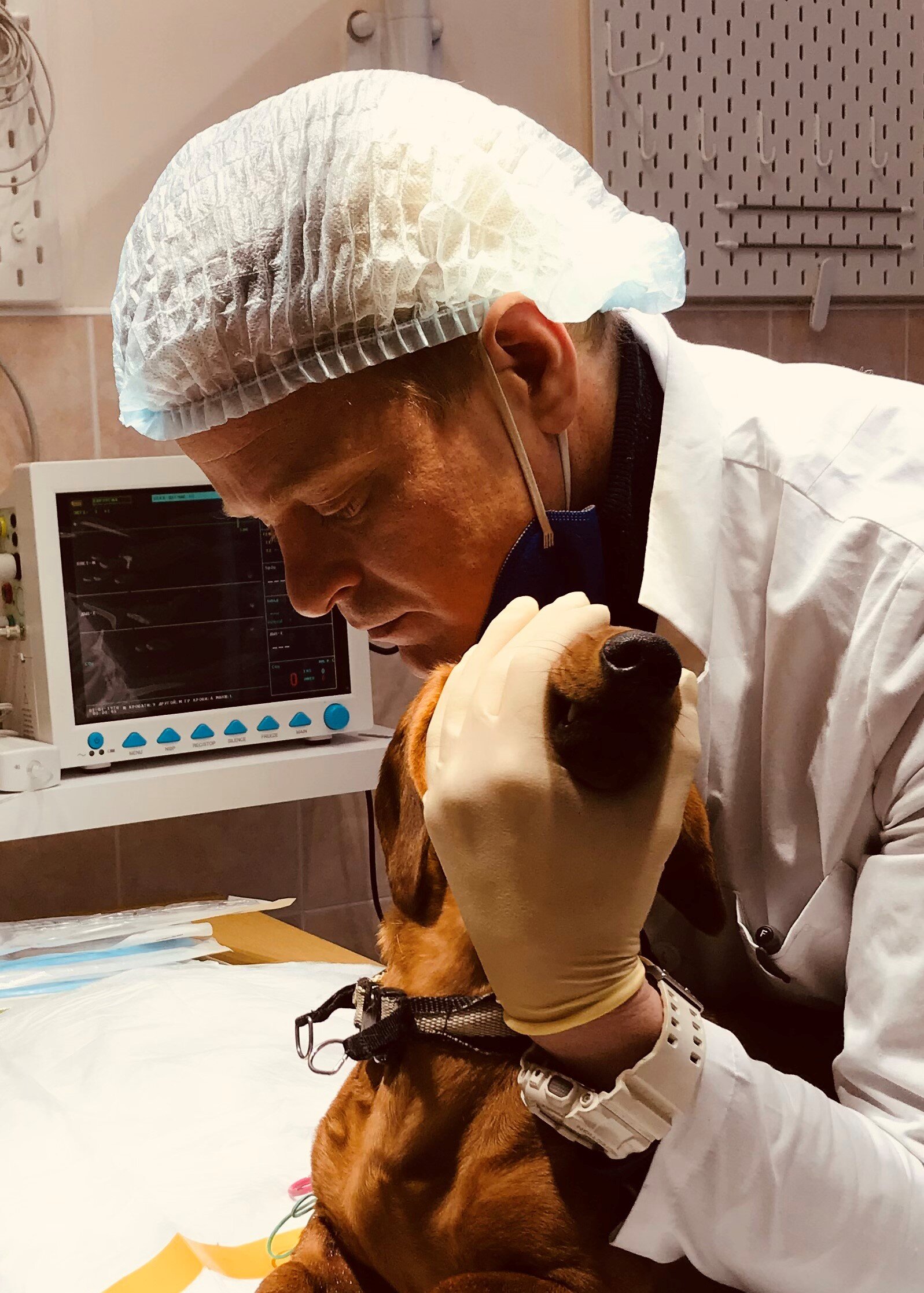 Ветеринарный врач санкт петербург