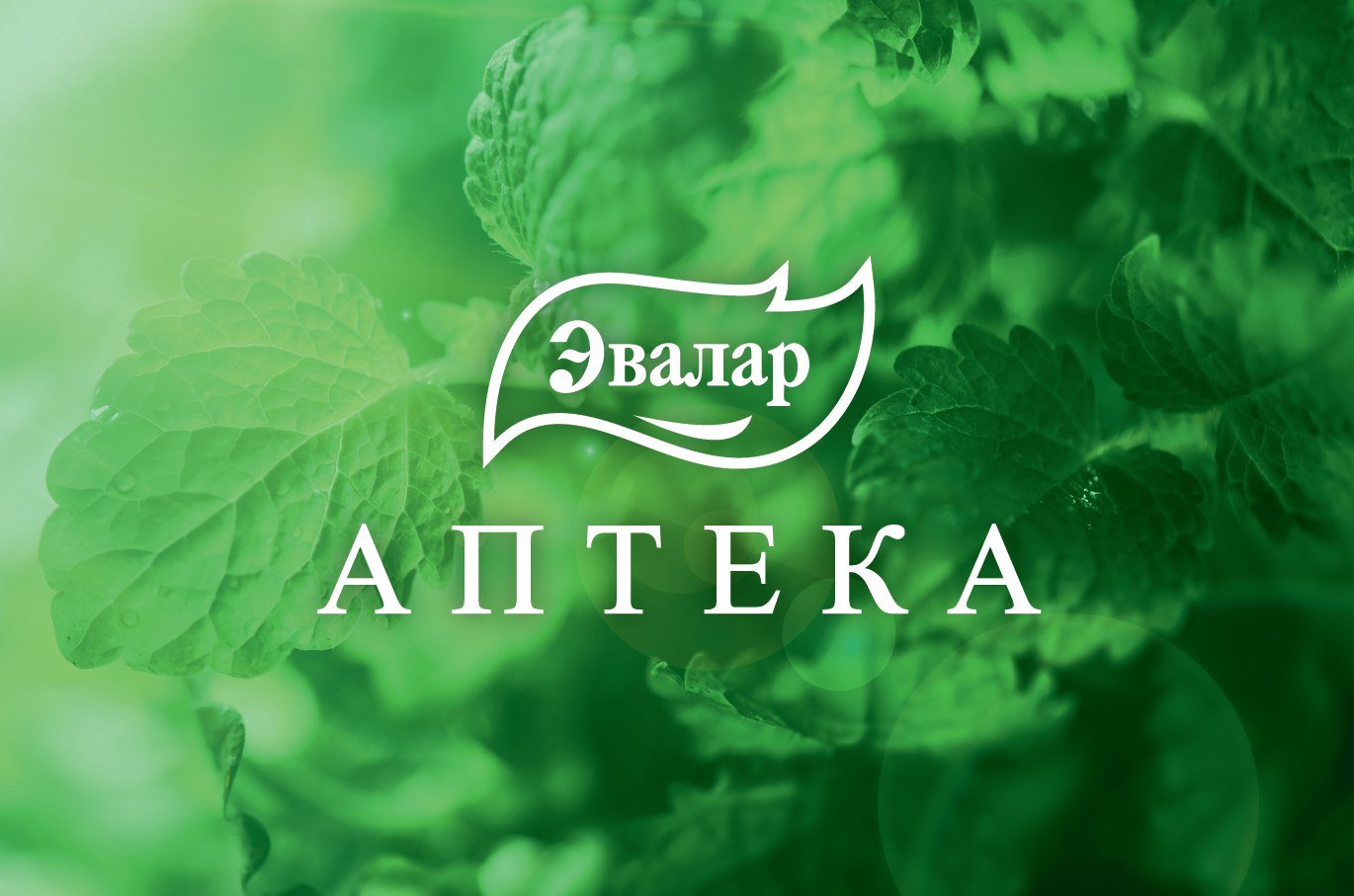 Эвалар Купить В Тольятти Аптека