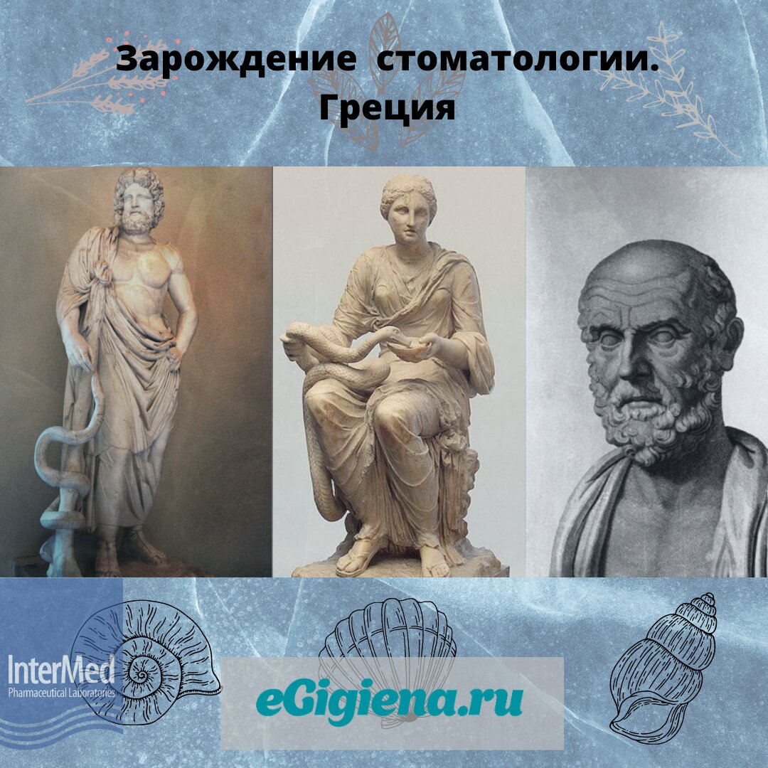 Магазины в Нововладыкинском проезде рядом со мной на карте – рейтинг  торговых точек, цены, фото, телефоны, адреса, отзывы – Москва – Zoon.ru