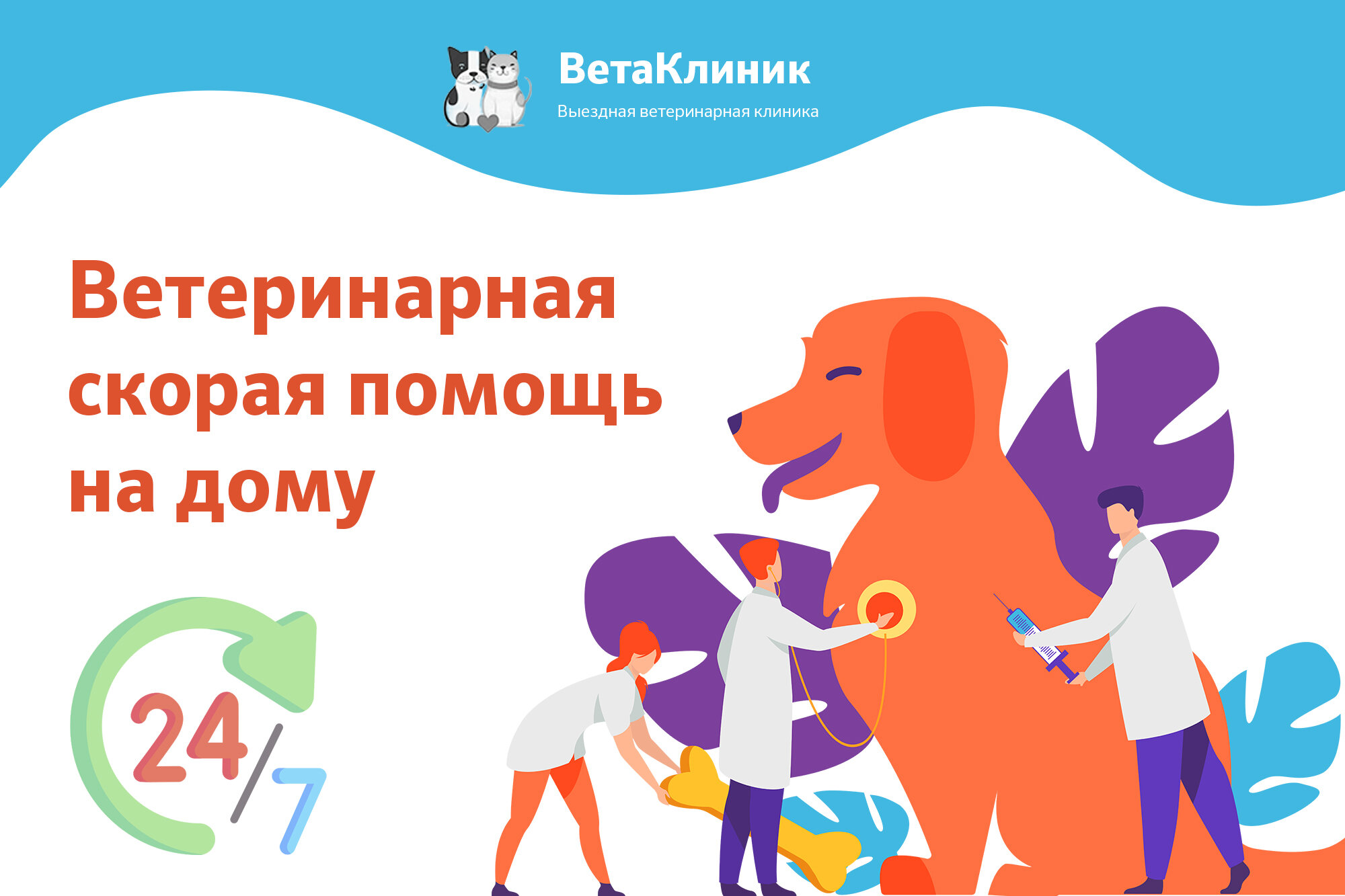 Удаление зубов у собак в Солнечногорске: цена от 345 руб. – Удалить зуб  собаке: 7 ветеринарных клиник, 27 отзывов, фото – Zoon.ru