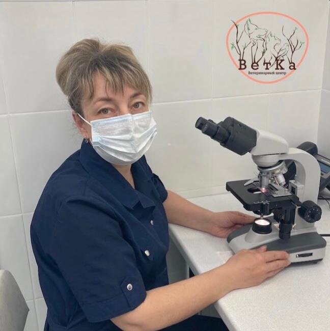 Наталья Николаевна Ворона