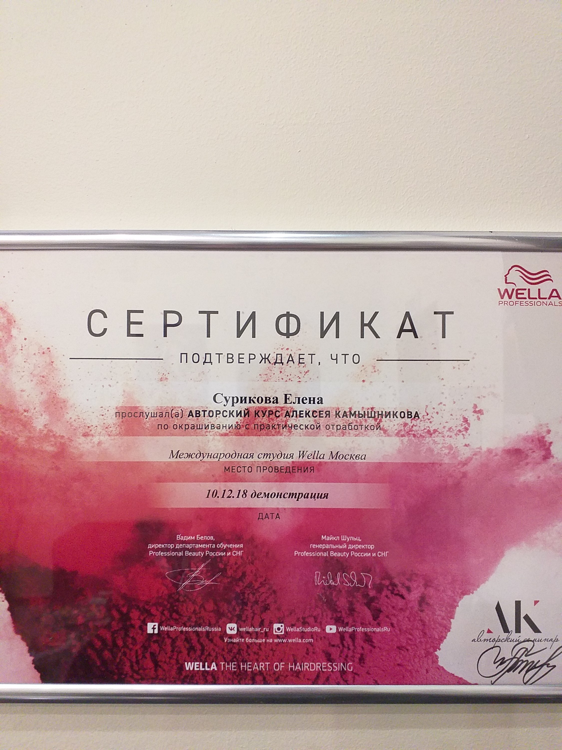 Елена Сурикова