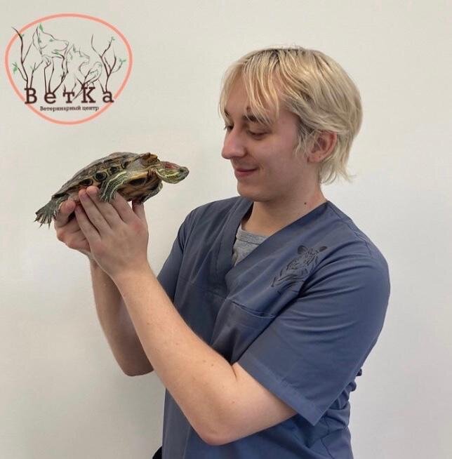 ветеринары липецк отзывы. ветеринары липецк отзывы. ветеринарная клиника доктора волкова липецк. дмитрий ветеринар липецк. меркулова анастасия сергеевна ветеринар.