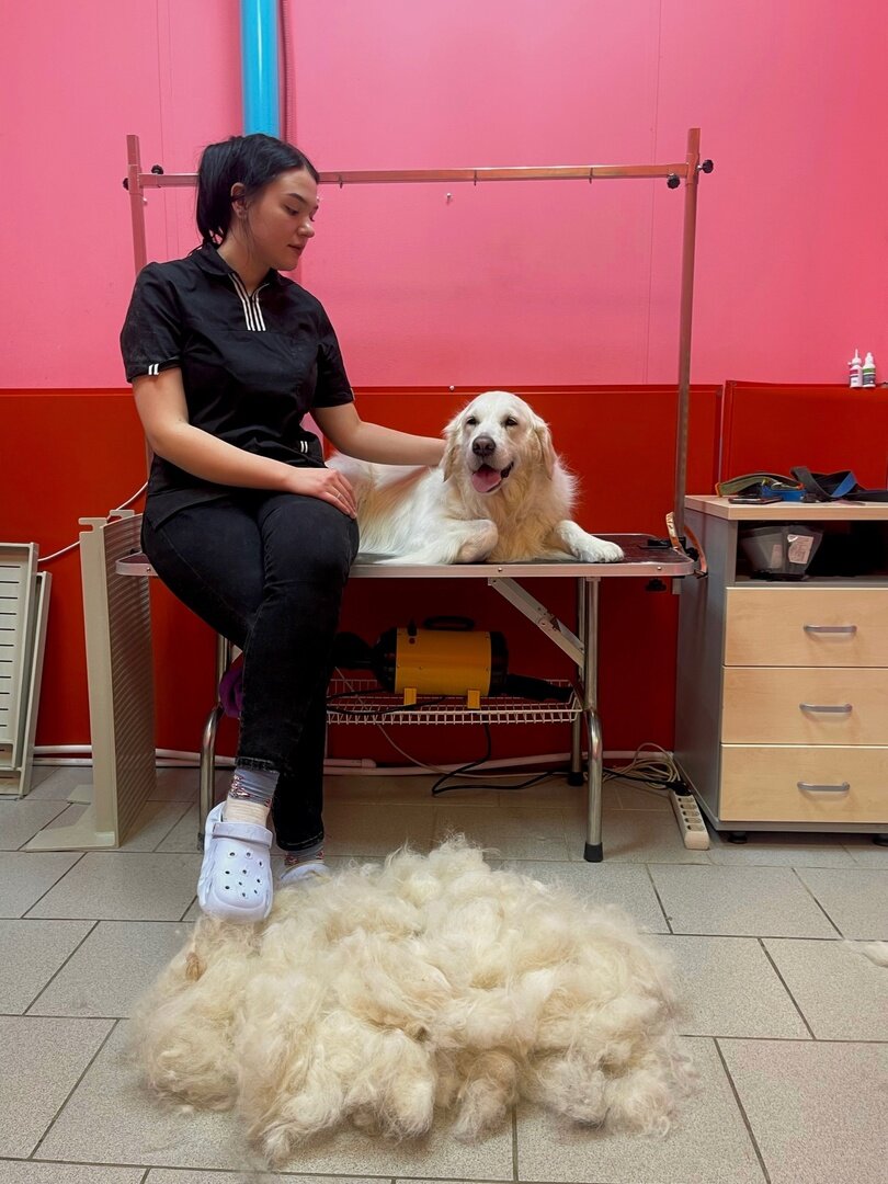 Карина Романовна Гришина