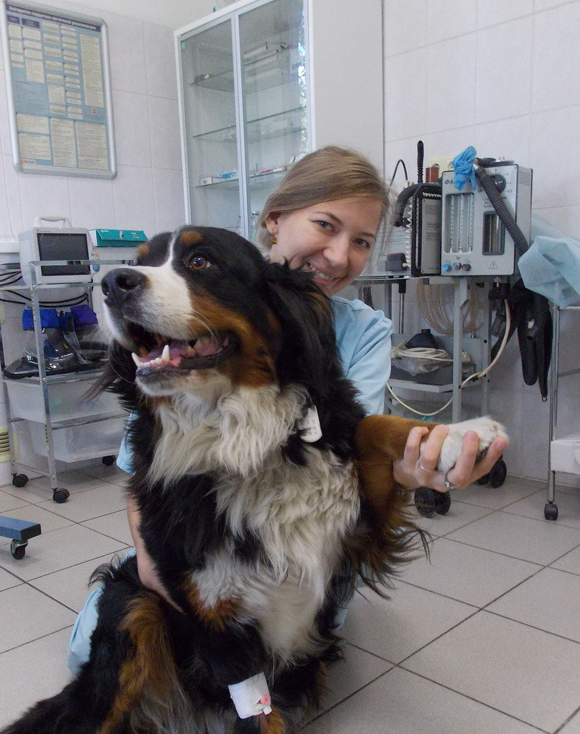 Вероника Владимировна Рябая