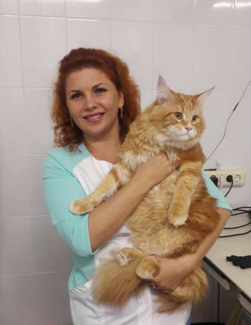 Людмила Михайловна Ляшева