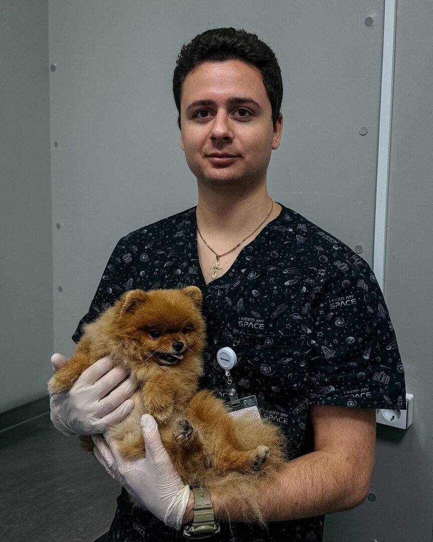 Никита Геннадьевич Кобзев