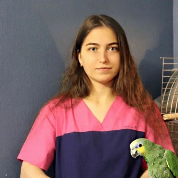 Ангелина Андреевна Сидоренко