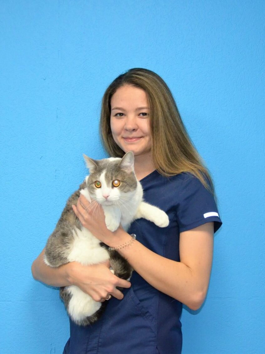 Дарья Глебовна Галицкая