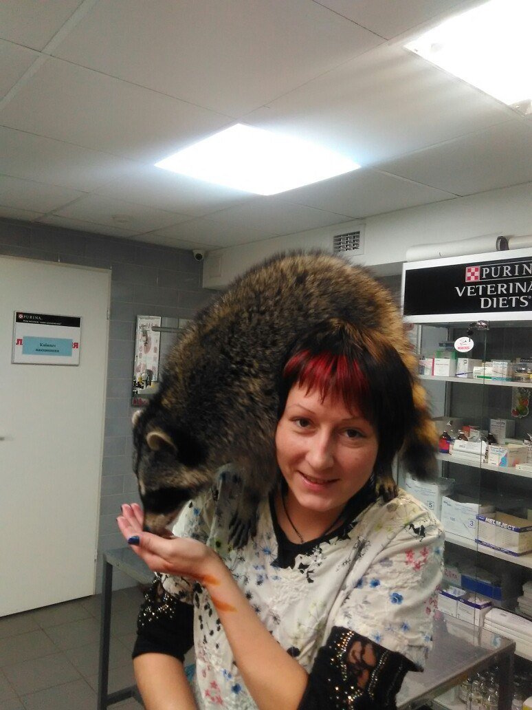 Ирина Медведева