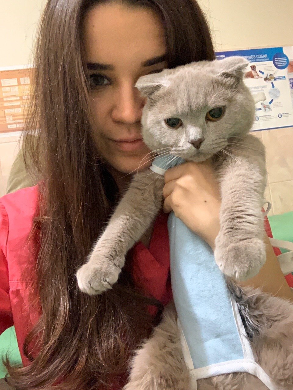 Анастасия Ильина