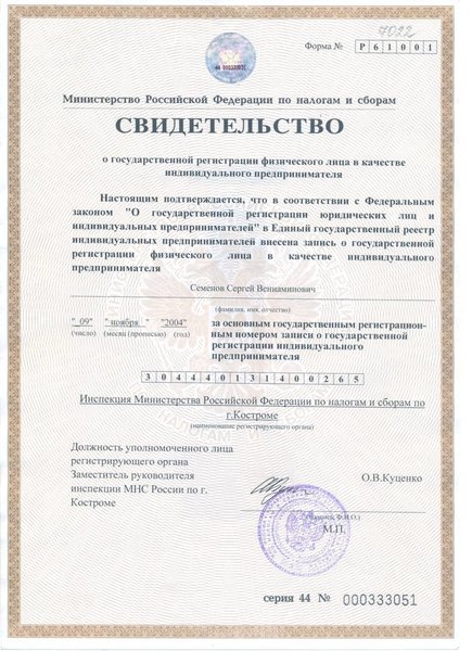 Как выглядит свидетельство ип 2025