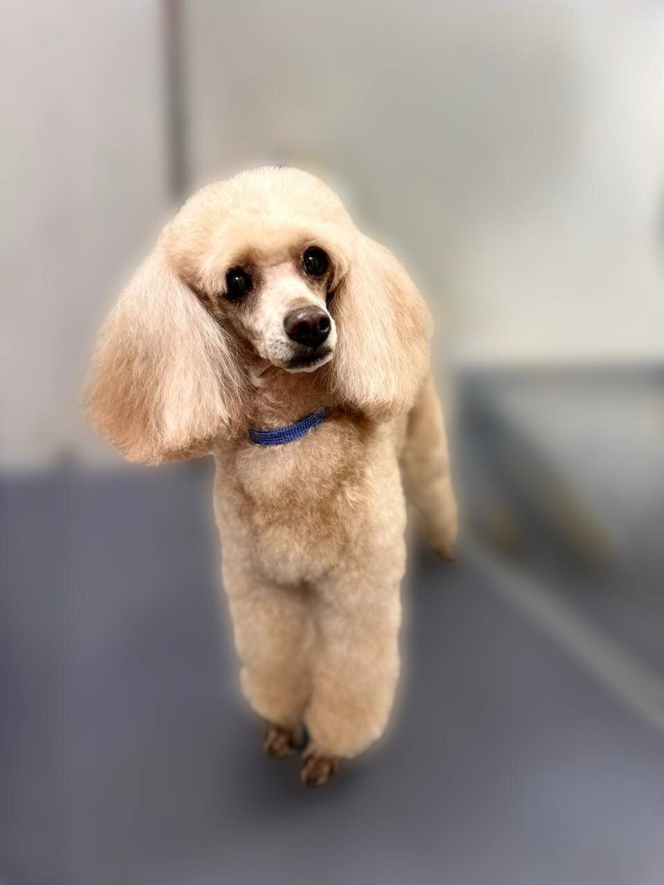 Екатерина Васильевна Чистякова