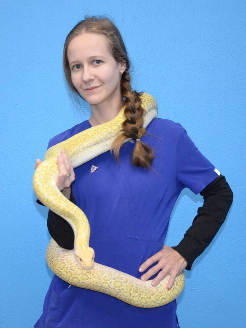 Ксения Сергеевна Кривенченко