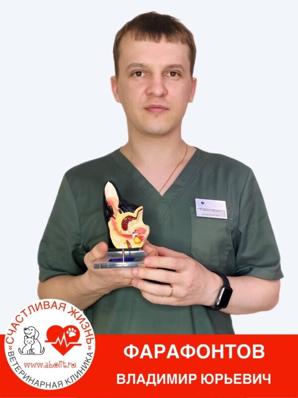 Владимир Юрьевич Фарафонтов