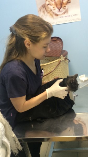 Дарья Юрьевна Парахина