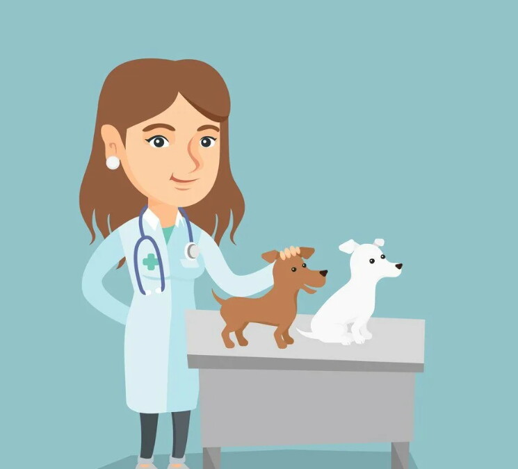 Ксения Кочигина