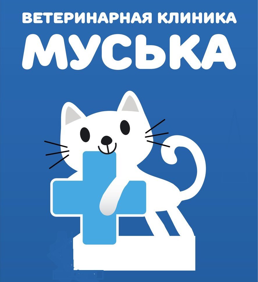 Наложение повязки животному в Балашихе: 44 ветеринарных клиники, адреса,  телефоны, отзывы и фото – Zoon.ru