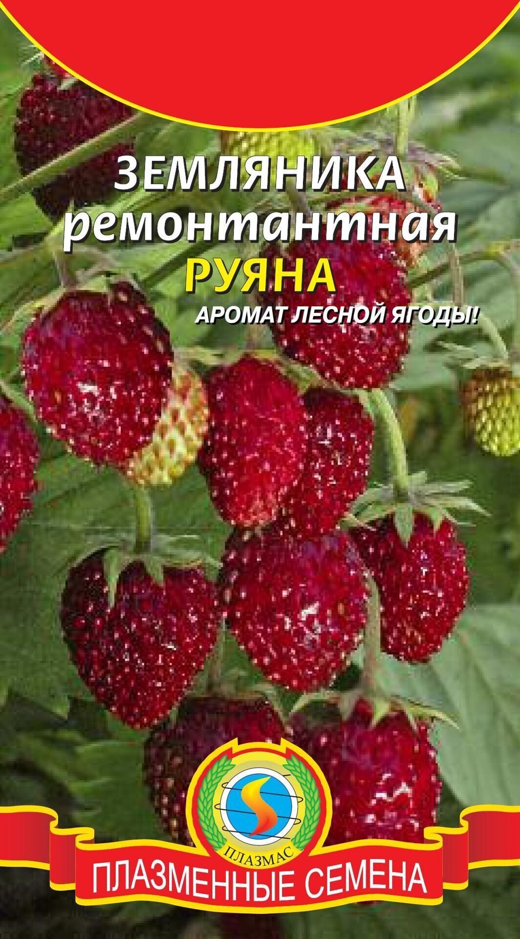 Алкогольные магазины в Искитиме рядом со мной – Алкогольная продукция: 44  магазина на карте города, 1 отзыв, фото – Zoon.ru