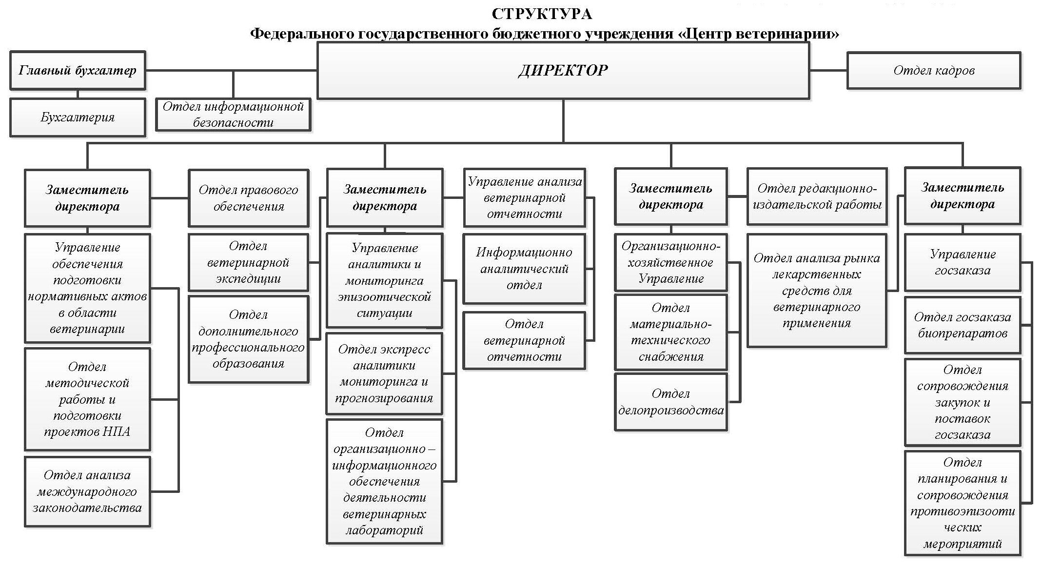 Управление городского округа. Структура администрации городского района схема. Организационная структура органов местного самоуправления. Структура органов местного самоуправления города. Схема организационной структуры администрации.