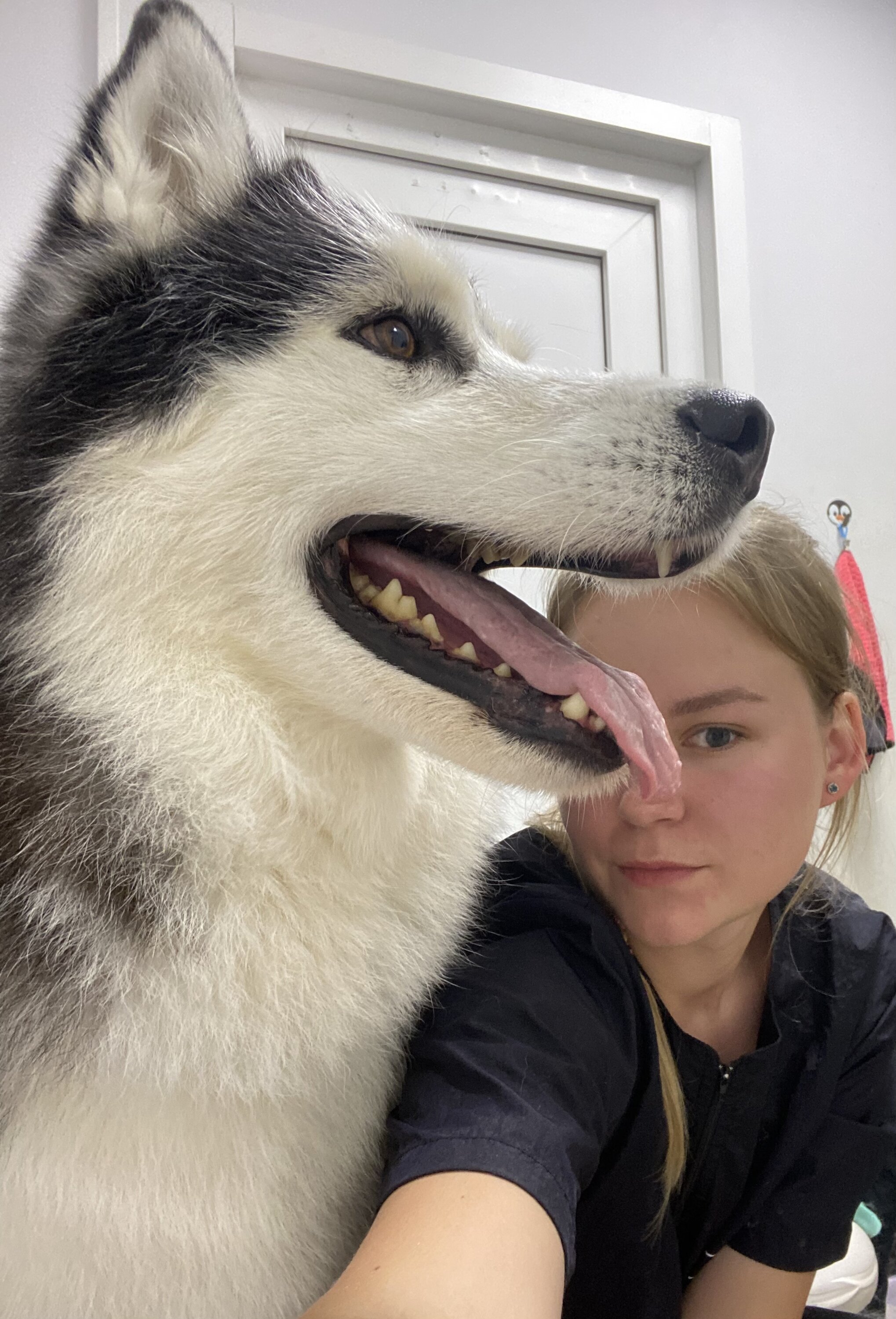 Светлана Кутузова